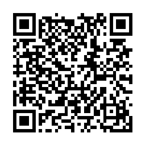 你们有那个寻思的决心怎么不想想好好的留在这里二维码生成