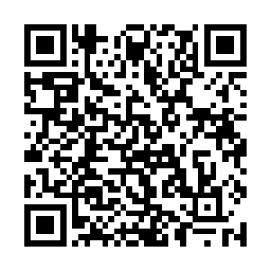 你们海族难道想要占着人多做出杀人夺宝的事情来吗二维码生成