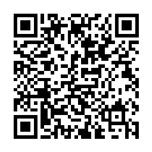 你们的硬照拍的好与不好完全取决于你们的个人品位二维码生成