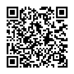 你们自以为看清楚了自己和多元宇宙最强者之间的差距二维码生成