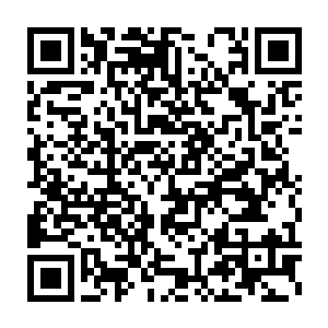 你们莫非不知道你们以前心心念念的雪灵师妹是尊主的亲传弟子呢二维码生成