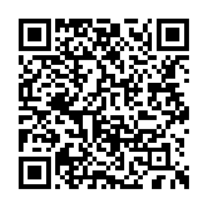 你们觉得上次威哥ktv那几个陪酒的女孩子怎么样二维码生成