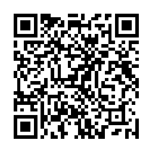 你们觉得东海联军这群人付出一千人的代价来换吴作城的话二维码生成