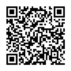 你们说会不会有这样一种可能――既然是盘古族的战略要地二维码生成