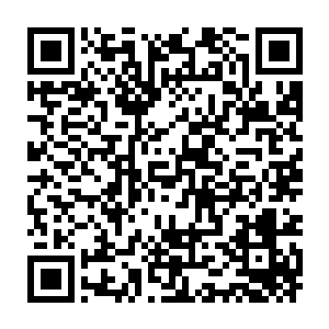 你们说有没有可能是这些虫子本来就是鬼头太岁天生用来保存尸体的二维码生成