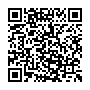 你们说这剑尘会不会躲藏在通天剑圣的潜修之地二维码生成