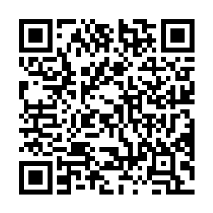 你们还在玩那一套无聊而且让人恶心的权利平衡游戏嘛二维码生成