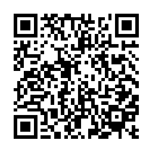 你们这些虾兵蟹将怎么能和现在强大的叶秋向比呢二维码生成