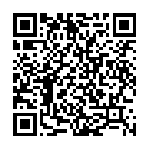 你们这十三个领主离开自家地盘准备联盟的时候不带兵的吗二维码生成