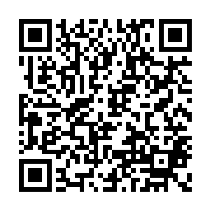 你们这是又在往天赋较好的后辈身体种下狱婴了二维码生成