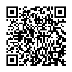 你们那里留下来的史料里不知有多少树木野兽变成人的传说二维码生成