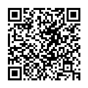 你们黑火熔岩的巫师都很喜欢用年龄和外表判断一个人的实力么二维码生成