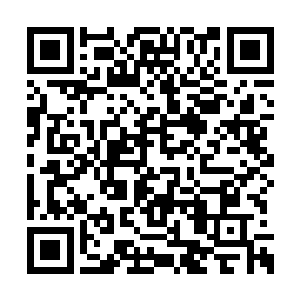 你们龙族之间不是一项都以血脉高低论优劣的么二维码生成