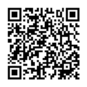 你便想将我变成如江寒楼那般被你控制心神的傀儡二维码生成