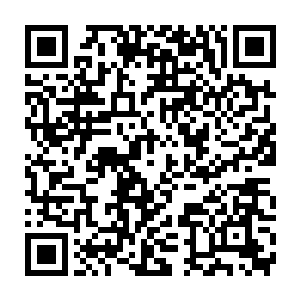 你倒是解释一下为什么樱花神两颗提气丸还说很稀有这里一个A级就1二维码生成