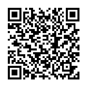 你再等我一会儿……再等我一会儿我就回来救你了……二维码生成