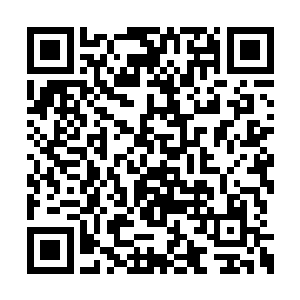 你刚才怎么会得出我误伤患者这么白痴的结论呢二维码生成