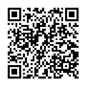 你别放在心上……江医生她是不是在……在……二维码生成