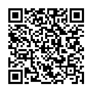 你到庄子上给她找个忠厚勤勉老实的后生将她嫁了二维码生成