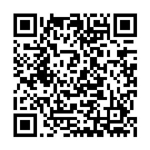 你去告诉重装道人和浩然伯伯我先不和他们见面二维码生成