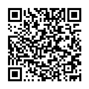 你去将临安城府台和县衙各官员都喊来太子的议事厅二维码生成