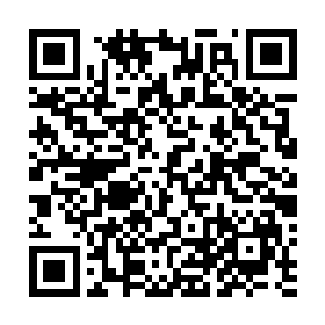 你又怎么知道细胞和基因不是某种更高维度生命所使用的二维码生成