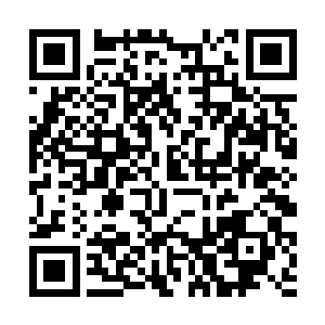 你只给我一个名字我也没办法算出来他是什么性格啊二维码生成