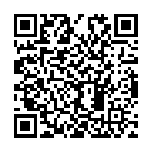 你只要将上面的犯人缉拿就可以晋升为一星护卫官……二维码生成