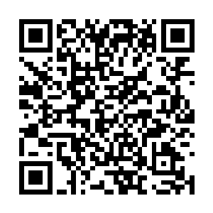 你只需将总镇府内人员进进出出的情形全部记下来二维码生成