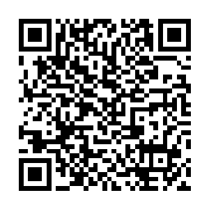 你只需要替老夫去太古魔藏之地寻找几样老夫需要的东西二维码生成
