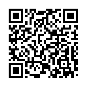 你可以对一只兔子施以同情和怜悯二维码生成