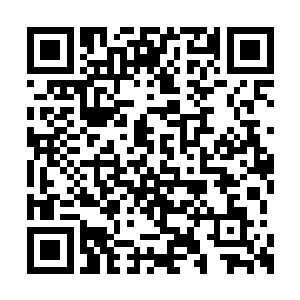 你可以将这个空间的作用想象成圣域强者的领域二维码生成