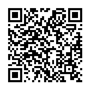 你可别高兴的太早了……这里虽然远离了众神山的势力二维码生成