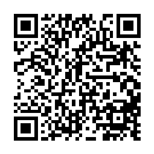 你可真是鸡爪子可劲儿划拉暖气管子让别人说去吧二维码生成