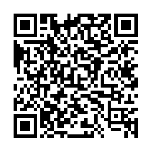 你和你的伏羲舰队已经被超过五百万艘星舰包围了二维码生成