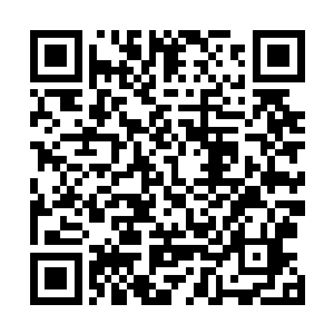 你和你的同胞们都会心甘情愿回归宇宙海和主文明的怀抱二维码生成