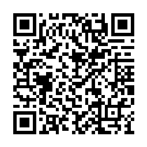 你哪里听来的八卦……铃铃和子楠就见过她一面二维码生成