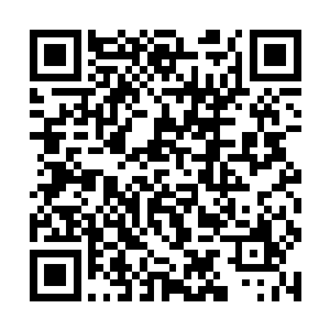 你在哥伦比亚博物馆盗取了红豚宝石本可以一走了之二维码生成