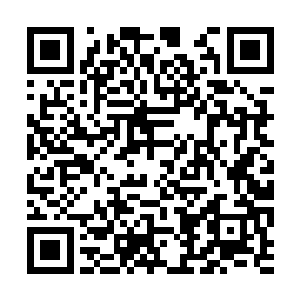 你在这齐星大陆能走到今天这一步已经吃了很多苦二维码生成