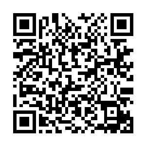 你大可打着为兄长复仇的名义大大方方的与那两方勾连二维码生成
