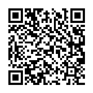 你大哥的这个态度彰显来的是不是有点过于的快了二维码生成