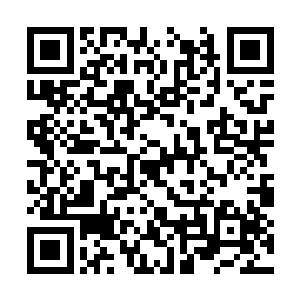 你妹的取名字不是大胖小胖就是奔波儿灞灞波儿奔二维码生成