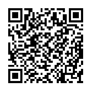 你姨娘给我来信说过几天各大家族会有一场比武二维码生成