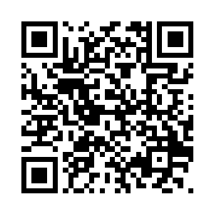你对于剧本的所有想法都会保证实现二维码生成