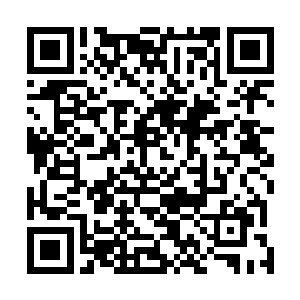 你对能量和规则的理解可以从小学三年级升到高中三年级二维码生成