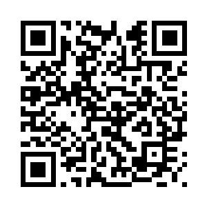 你对魔宠契约有不满我们可以解除二维码生成