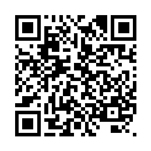 你将刚才他们拍卖花的钱退还给他们二维码生成