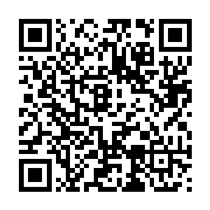 你就不怕修真界第一大能老龙王出手将你伏诛了吗二维码生成