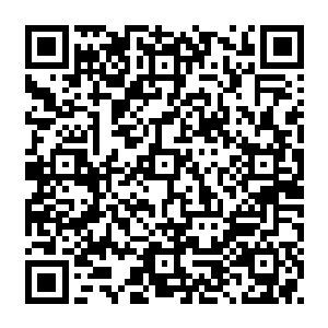 你就别对这件事介怀了……难不成你还不知道君家老夫人和这个肇事者之间的关系吗二维码生成