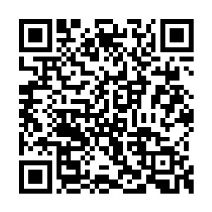 你就又按捺不住想要勾搭太乙玄门的小姑娘了吗二维码生成